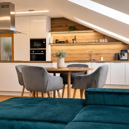 Apartament Loft Park